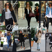 Fashion Hound
