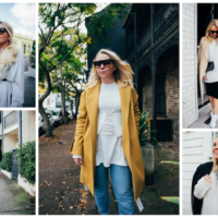 Fashion Hound